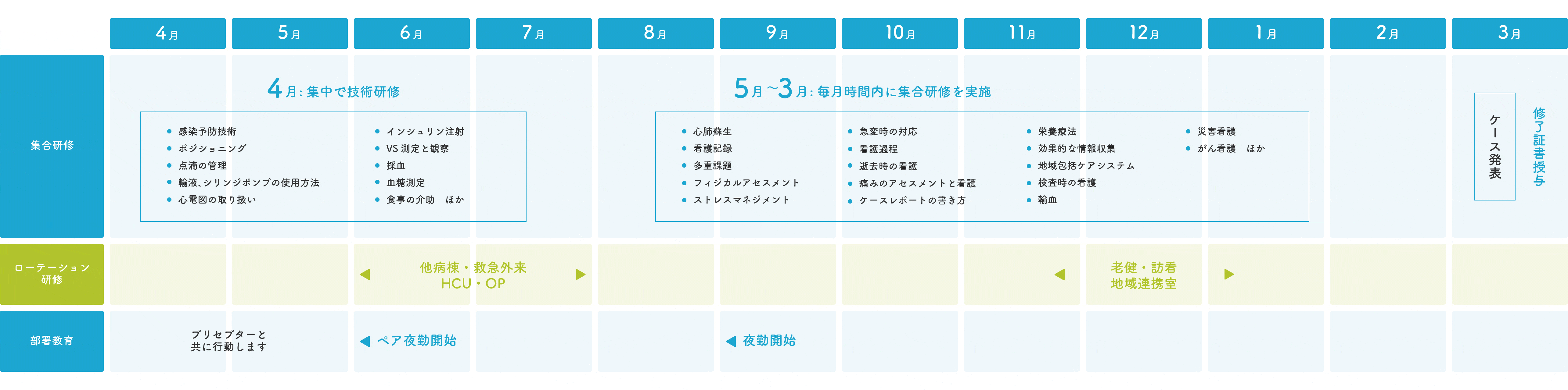 新人看護師年間教育スケジュール